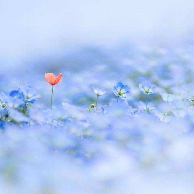 适合秋天发的早安句子,干净唯美,沁人心脾!