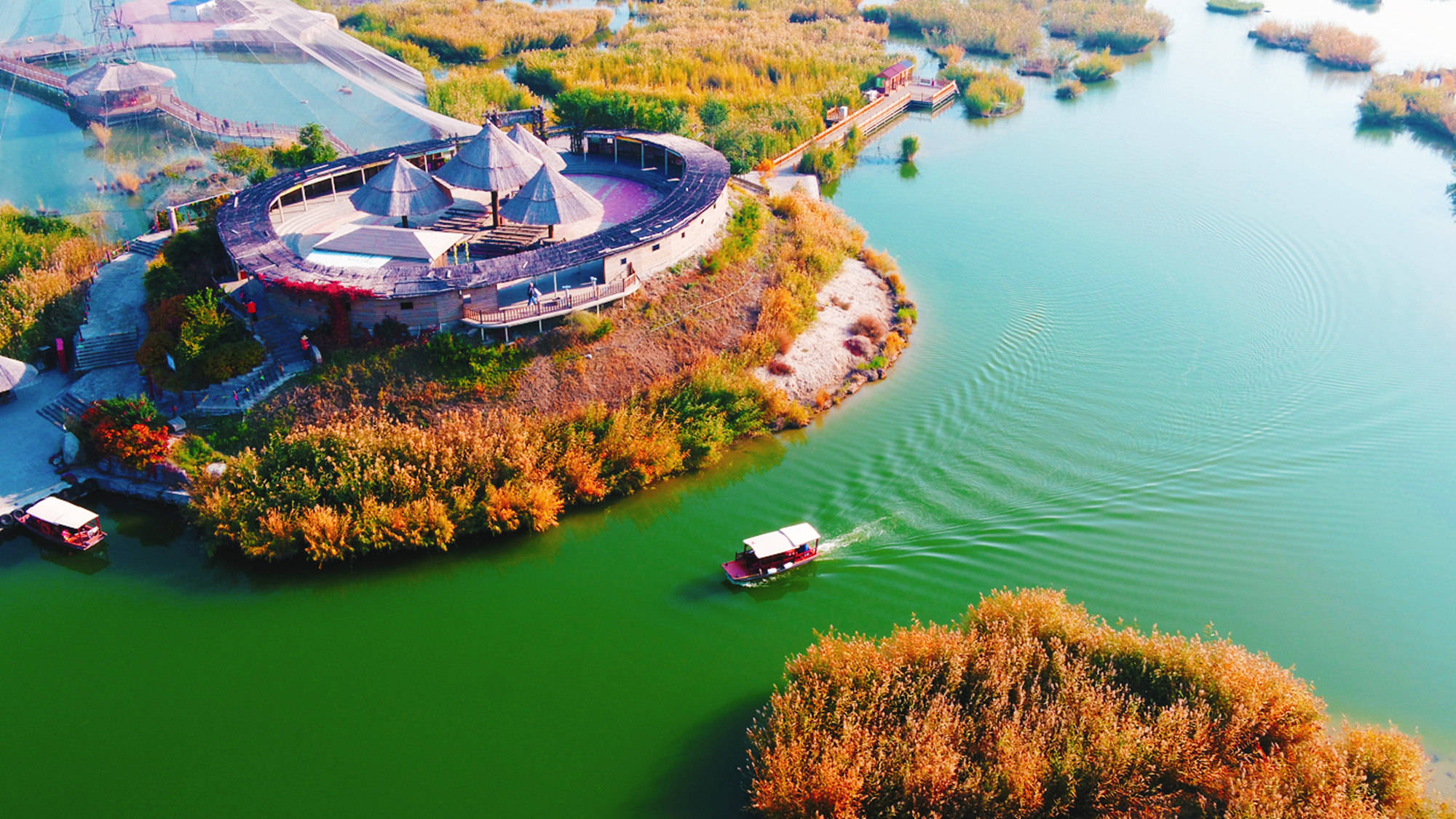 宁夏沙湖五粮42度价格图片