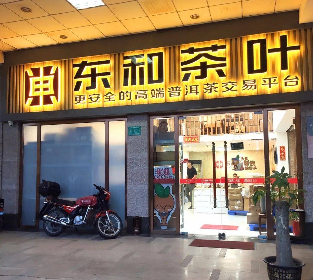 东和茶叶企业精英聊历史从无到有的奇迹诞生