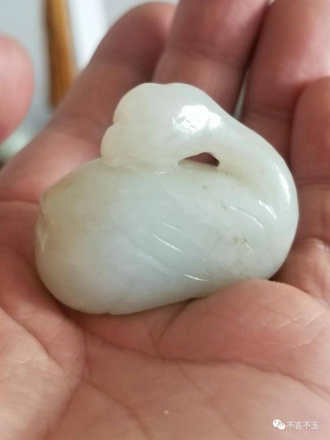 杨念慈:《爱情论》02之长篇大论