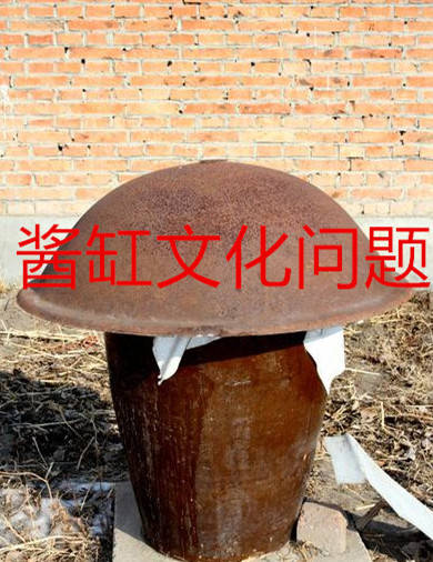 柏杨说:"由于长期的专制封建社会制度的斫丧,中国人在这个酱缸里酱得