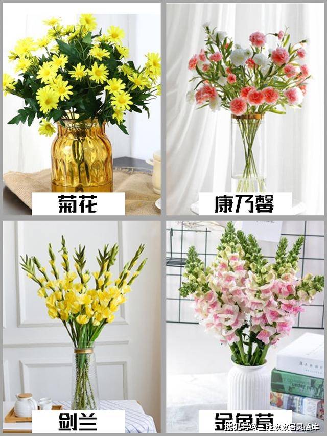 20款高颜值家居鲜切花推荐内附养护大全