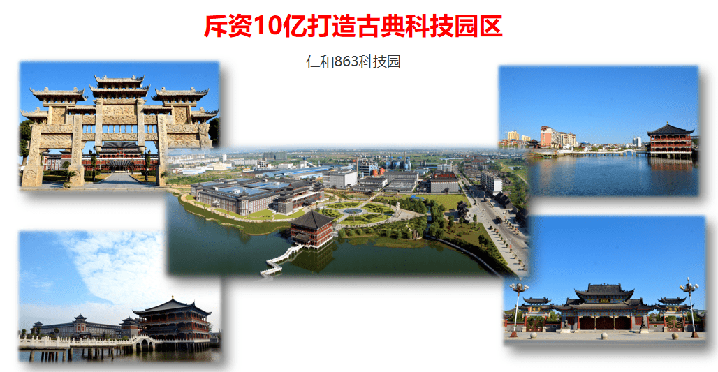 国民免疫领导品牌仁和小蓝鲸隆重面市