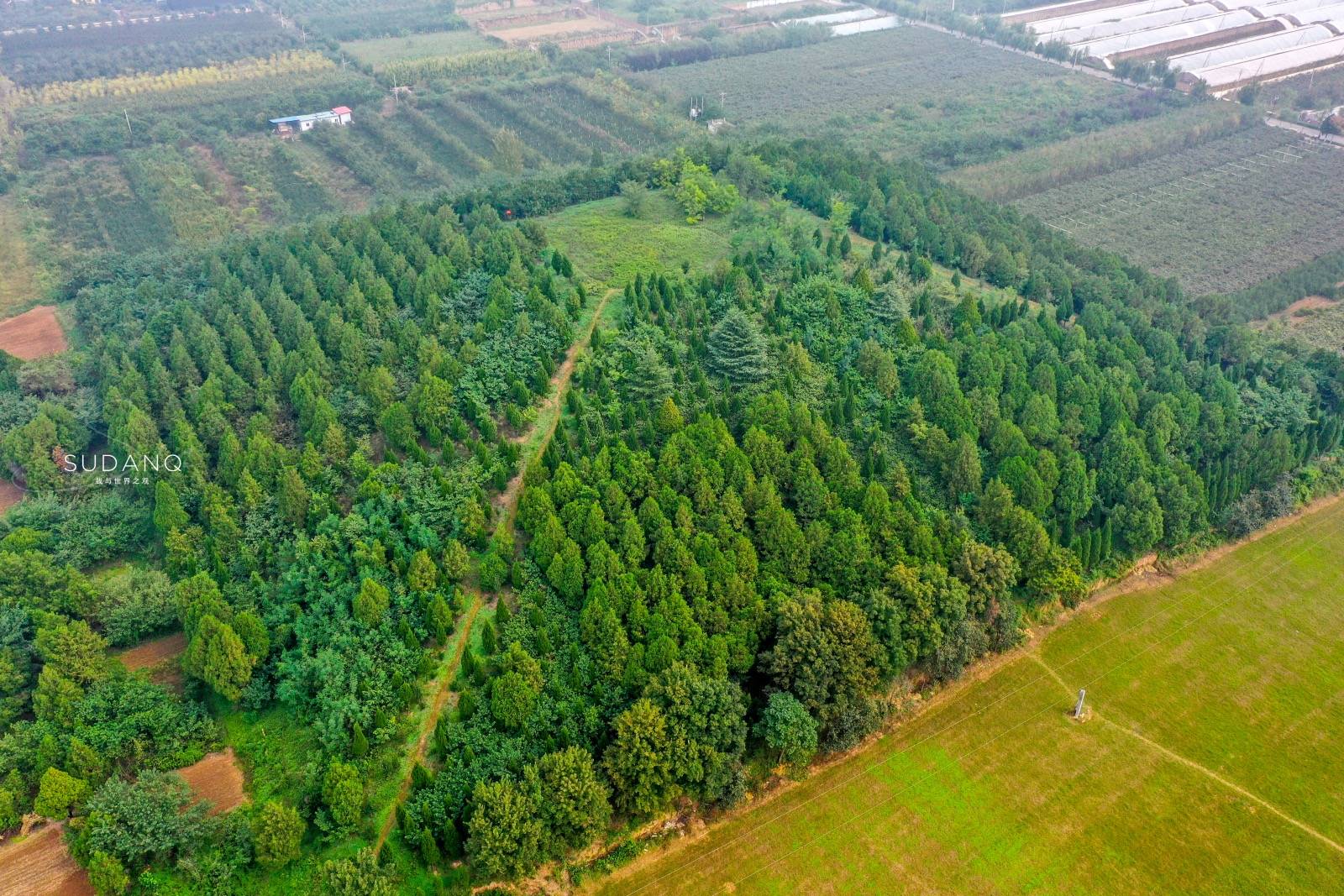 原创探秘千年王上村陕西杨凌区有座隋朝大墓千百年未曾被盗