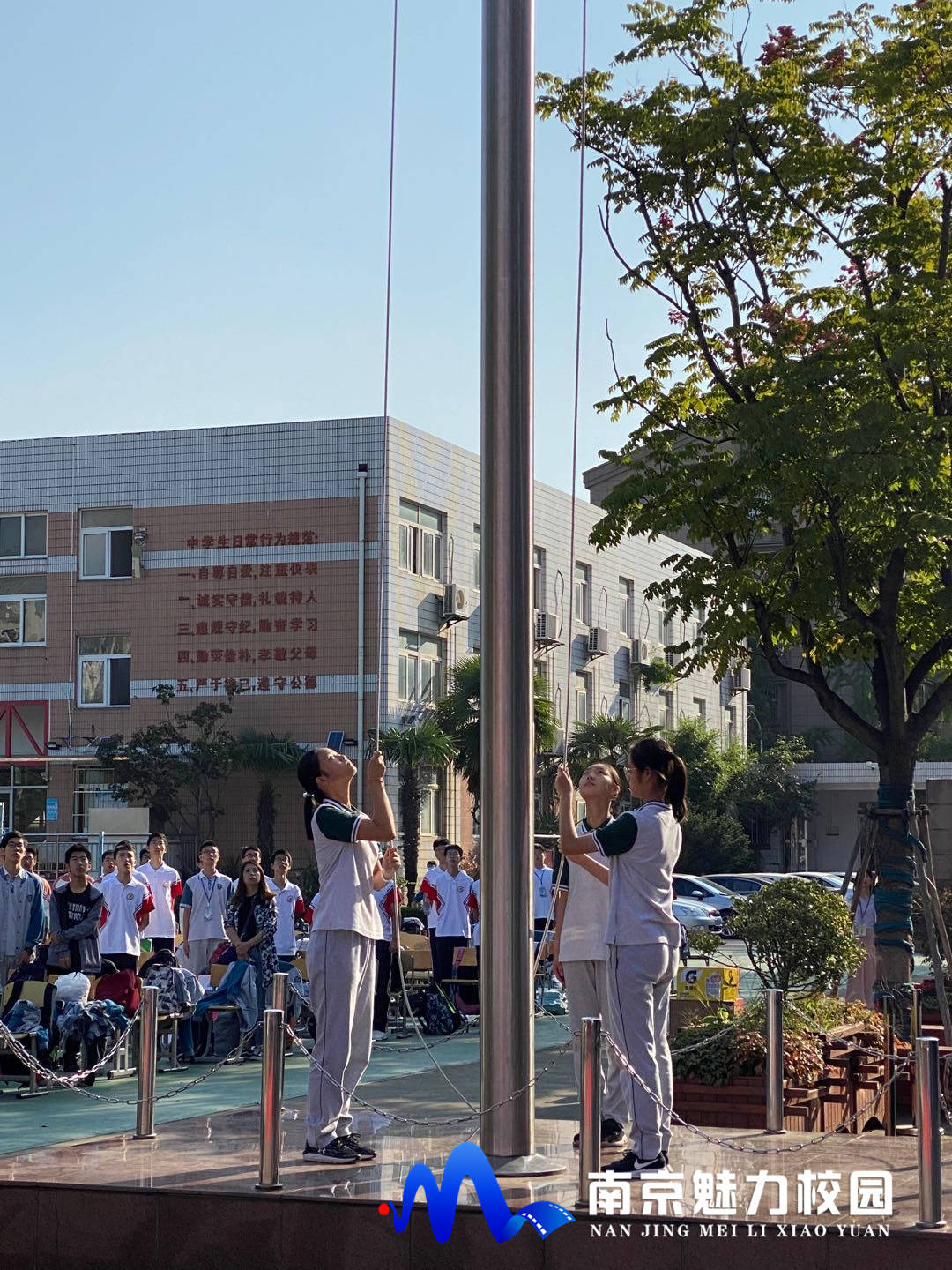 原创动态丨南京市第二十九中学光荣与梦想拼搏与超越第48届校运会开幕