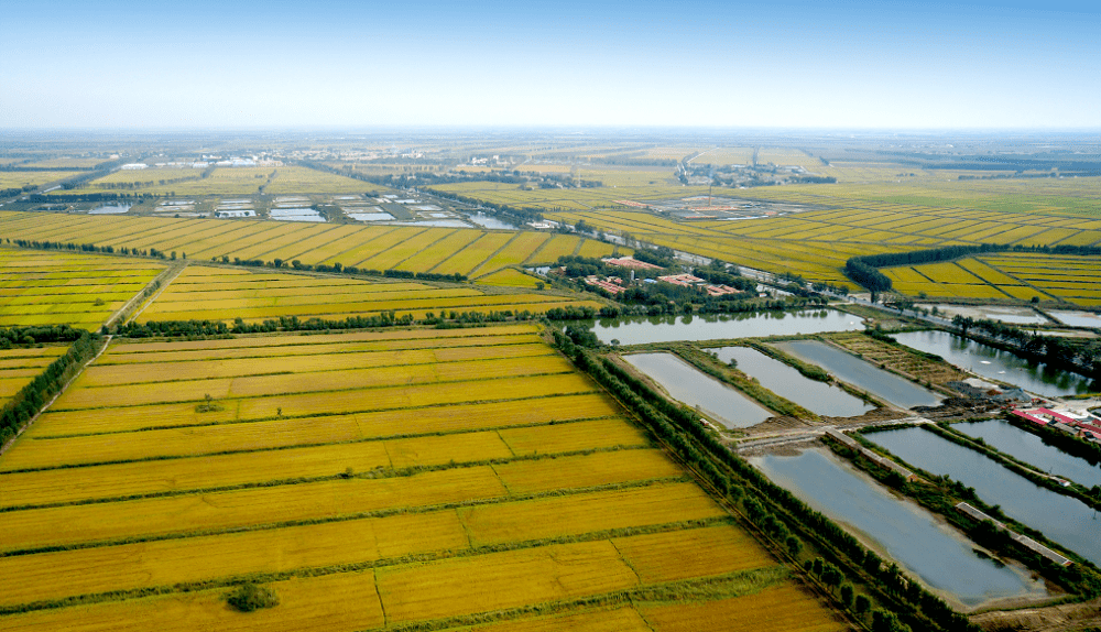 喜看津沽"米粮仓"——天津市宝坻区的丰收"密码"