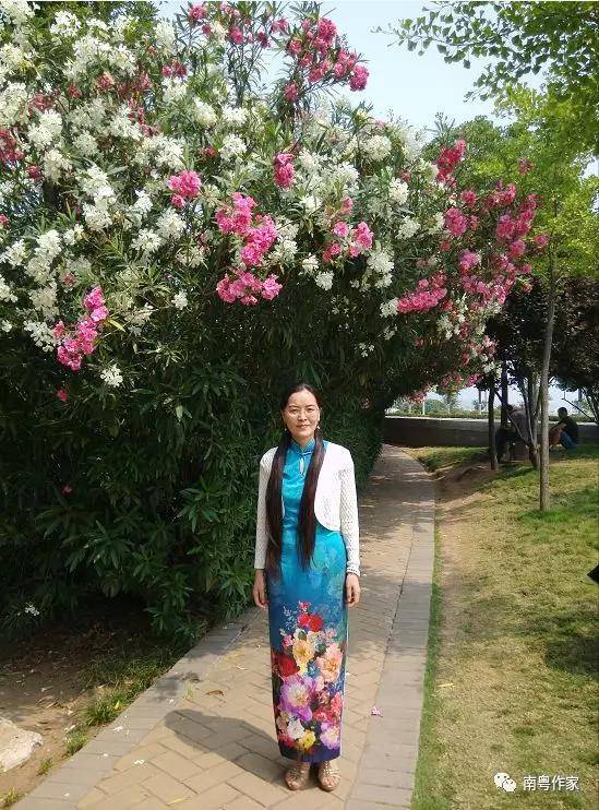 顾晓蕊:荷花的心|中原作家