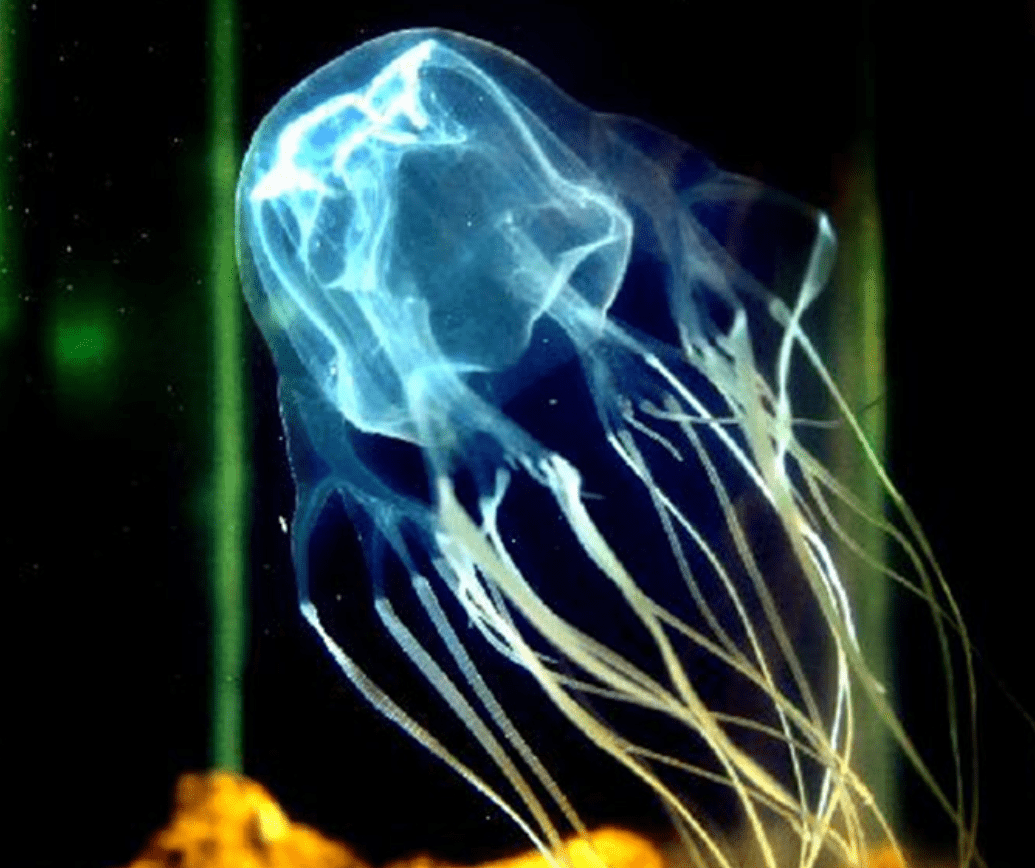 环球科学猫 原创· 10-05 11:58 订阅 点击查看更多订阅内容> 作者