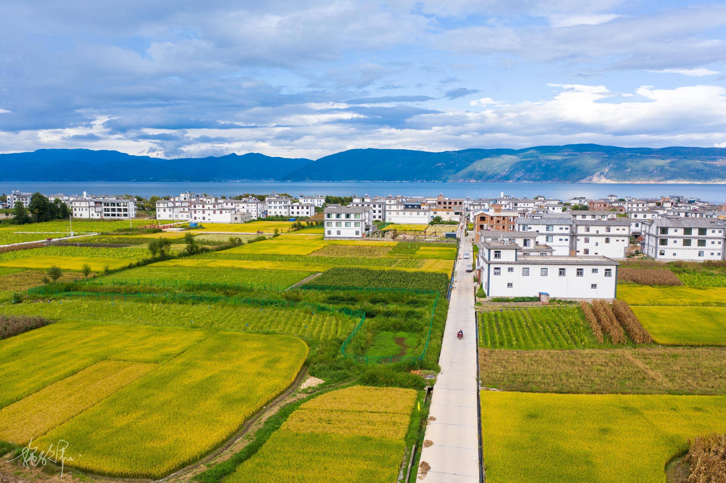 九月底,来的季节正好是大理的初秋,麦田黄了,一路上金灿灿的麦田数不