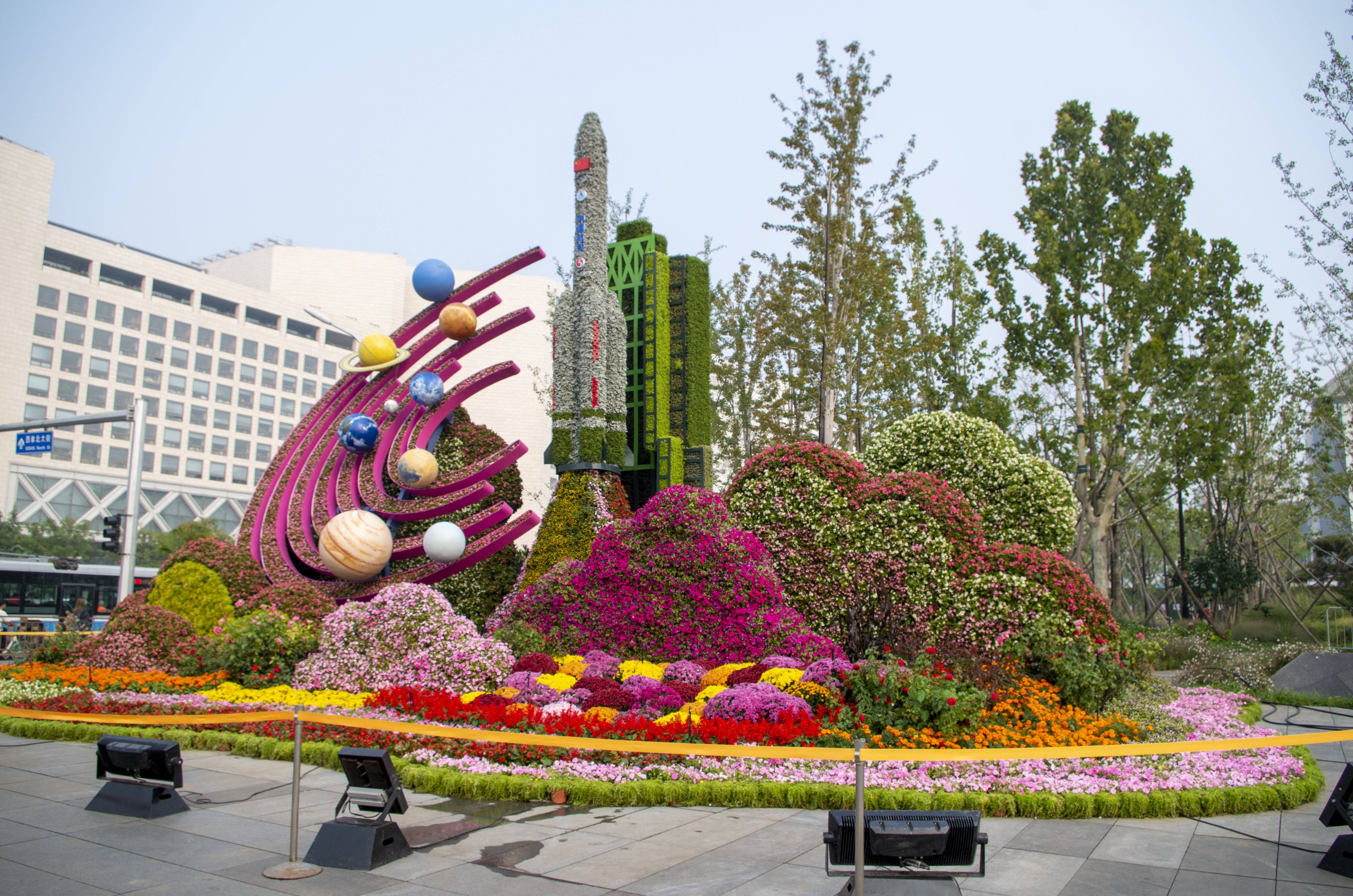 国庆花坛常见的花卉图片