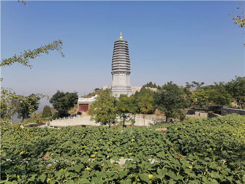 河北唐山华夏精短文学华北分会卧龙山创作基地正式挂牌