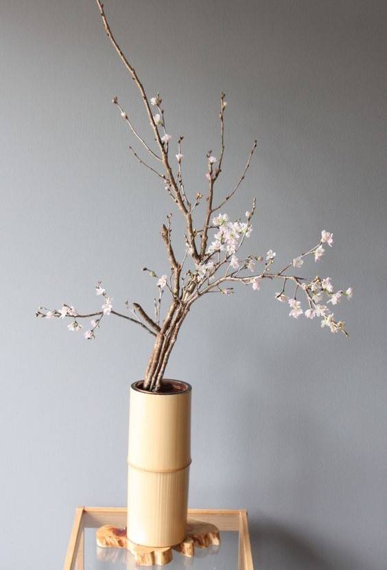 用竹子建一个篱笆小院剩下的对半搭成屋顶这雅致不输古人分毫