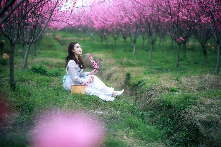 人像摄影组图那些花儿的岁月桃花仙子人在画中游