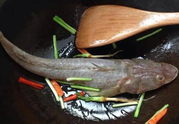 原创这鱼在我国不值钱,潮汕人懂它的价值,到了日本摇身一变成高档货
