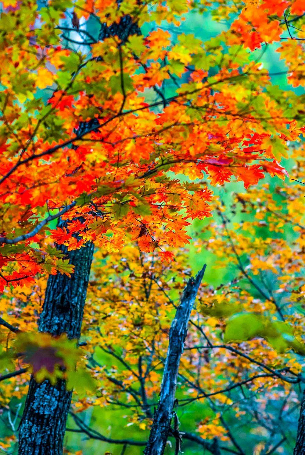 盘点1012月最佳旅行地在最美的时间游最美的风景