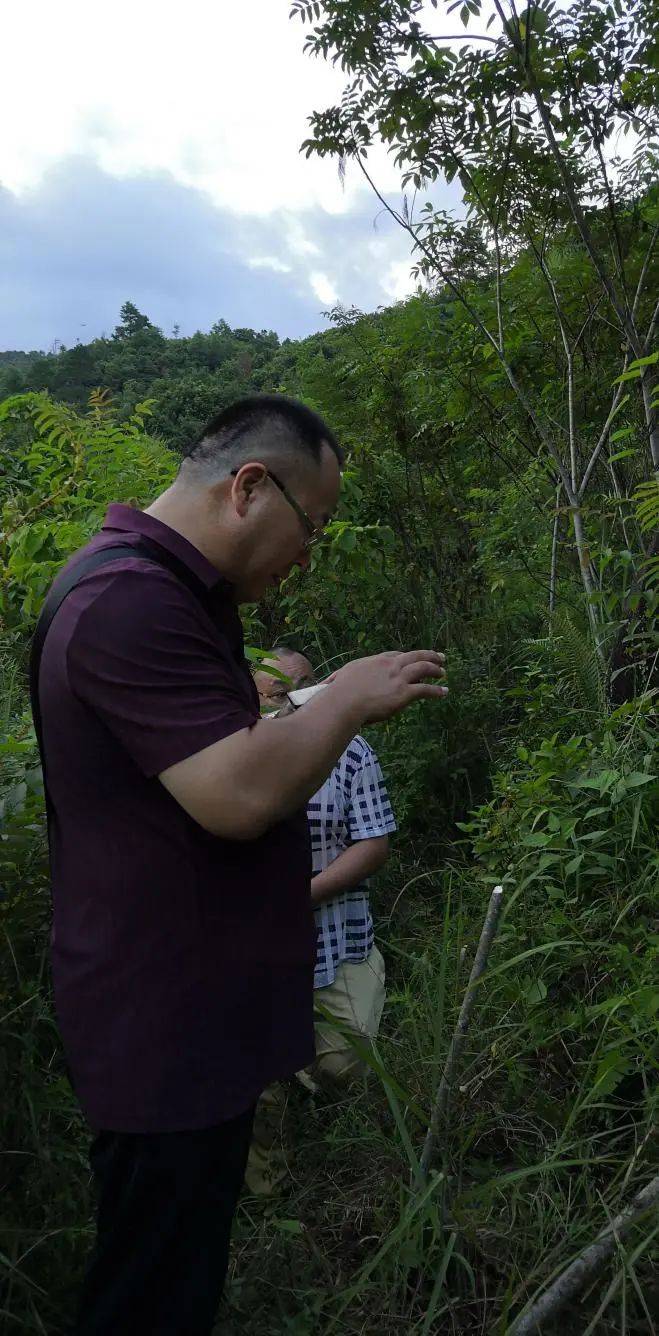 陈炳林金锁玉关案例图片