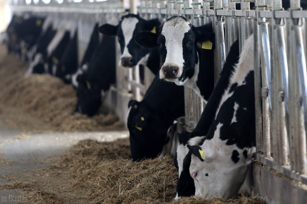 母婴日报:海普诺凯1897音乐盛典;贝因美监事辞职