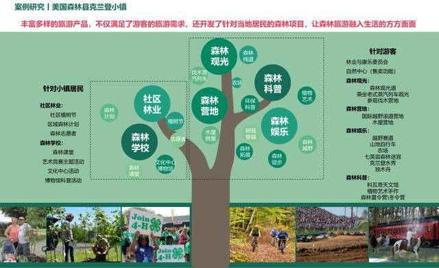 "疗养保养型森林"和"预防生活习惯病森林"3种类型的森林康养基地体系