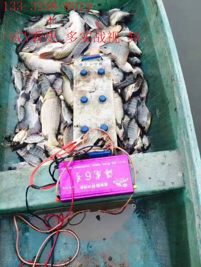 電魚機頭廠家廠家電魚機深水逆變器船機