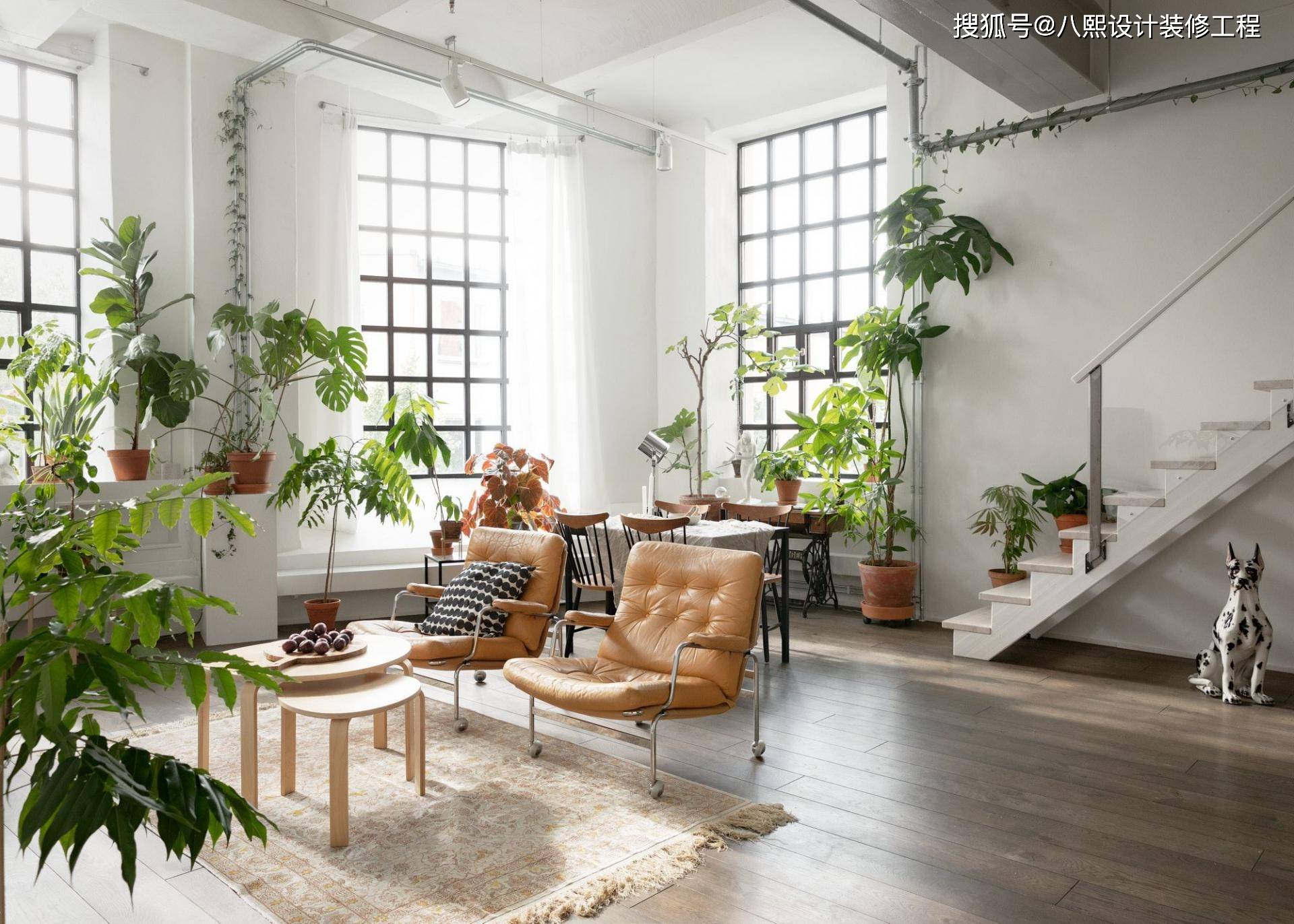 原创如何让居家环境秒变清新惬意不仅净化空气还能让心灵得到治愈