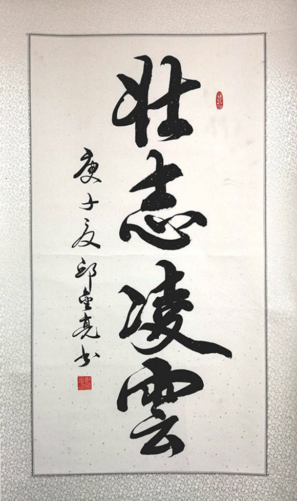 当代书法名家邱金亮笔耕不辍潇洒奔放