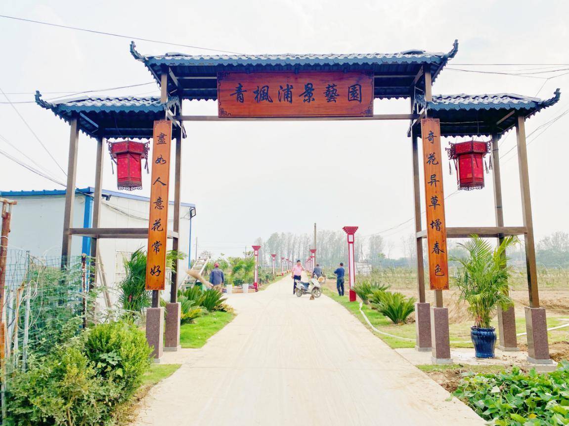 河南新蔡练村镇:努力打造绿色农业品牌 助推乡村振兴_手机搜狐网