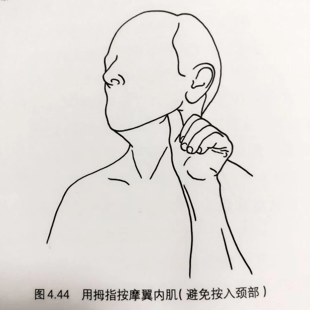 颞肌按摩:利用手掌根部反复按摩颞肌区域.