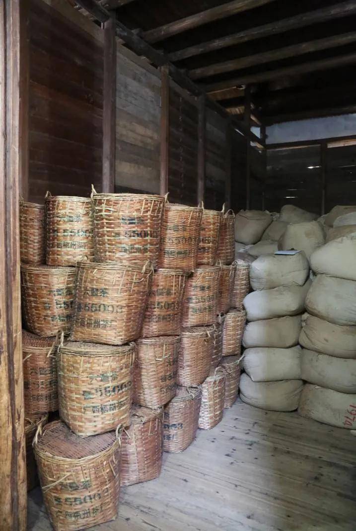 【茗边聚焦】梧州六堡茶系列报道之二梧州茶厂:歌唱辉煌,三鹤飞翔