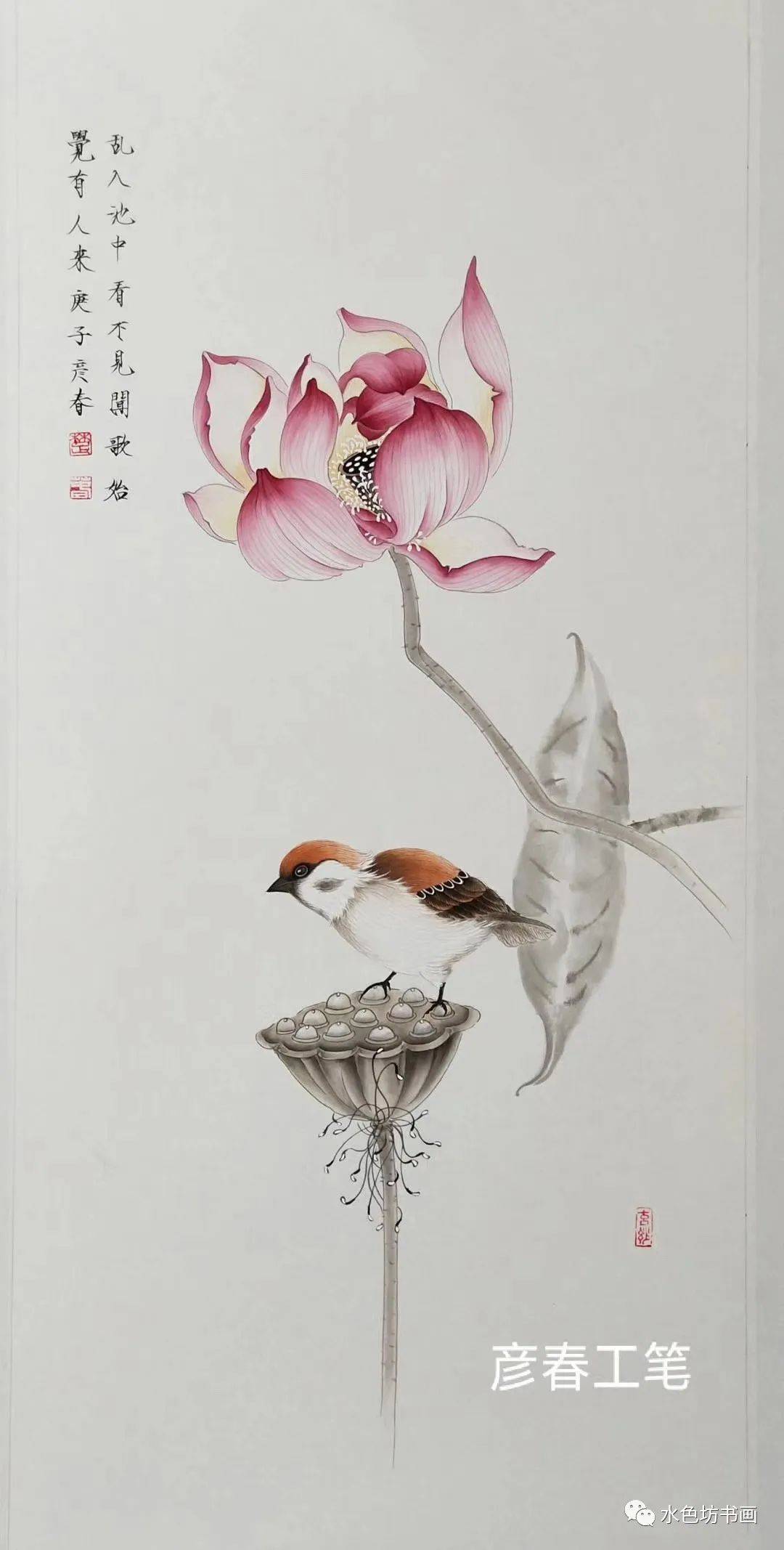 画家专栏 │楚彦春——复古风情 工笔花鸟