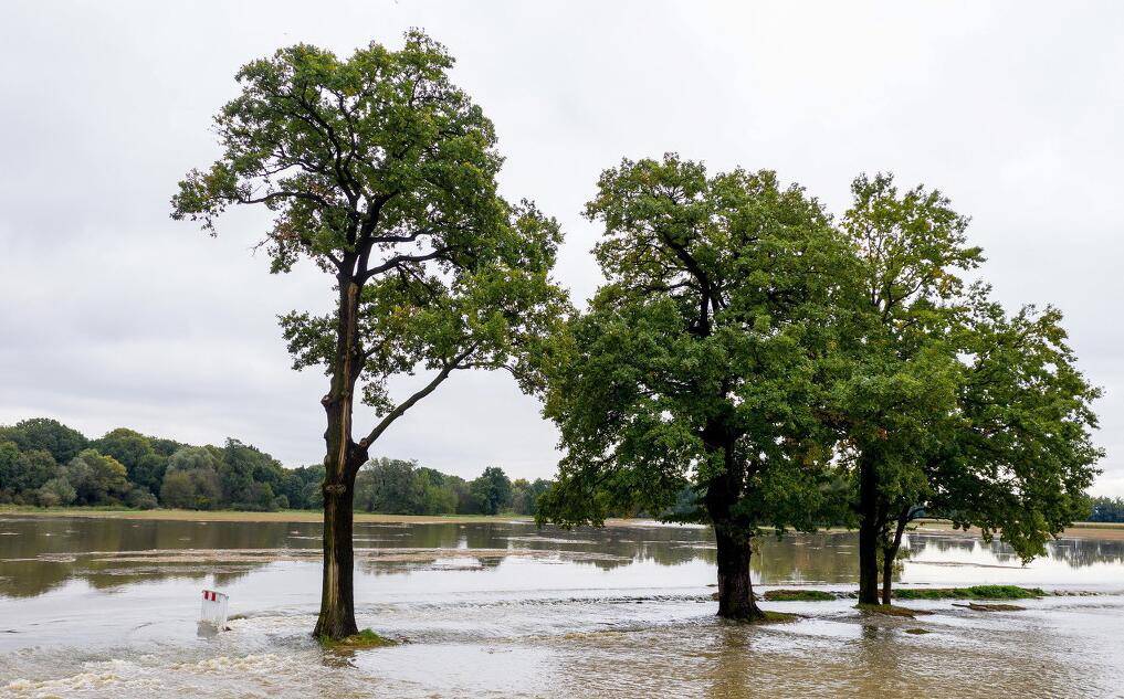 波兰暴雨引发洪灾 航拍村庄道路遭水淹-搜狐大视野-搜狐新闻