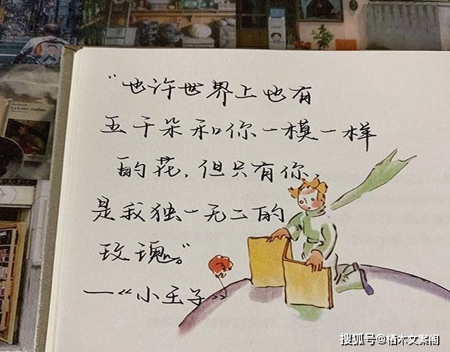 《小王子》语录也许世界上有和你一模一样的花,但只有你是我独一无二