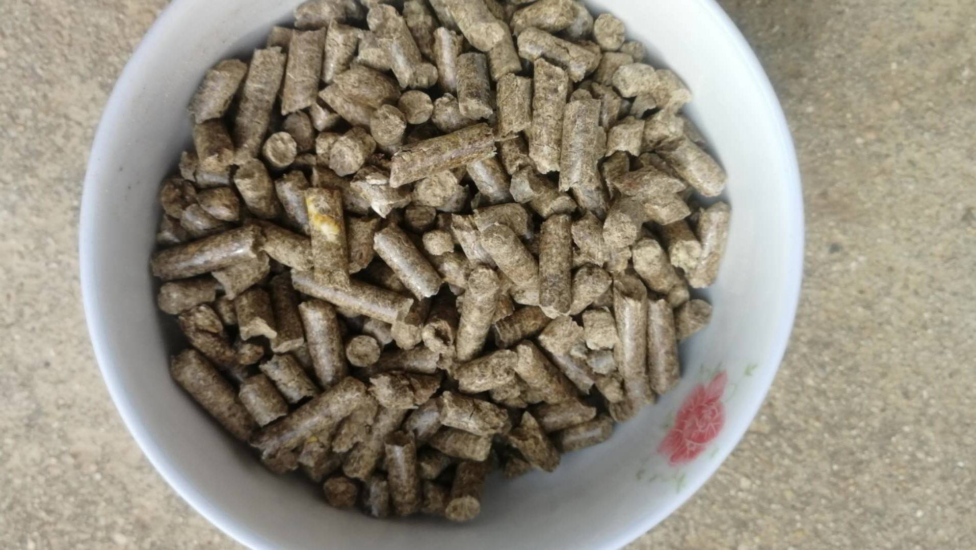 颗粒饲料 牛草颗粒多少钱一吨_手机搜狐网