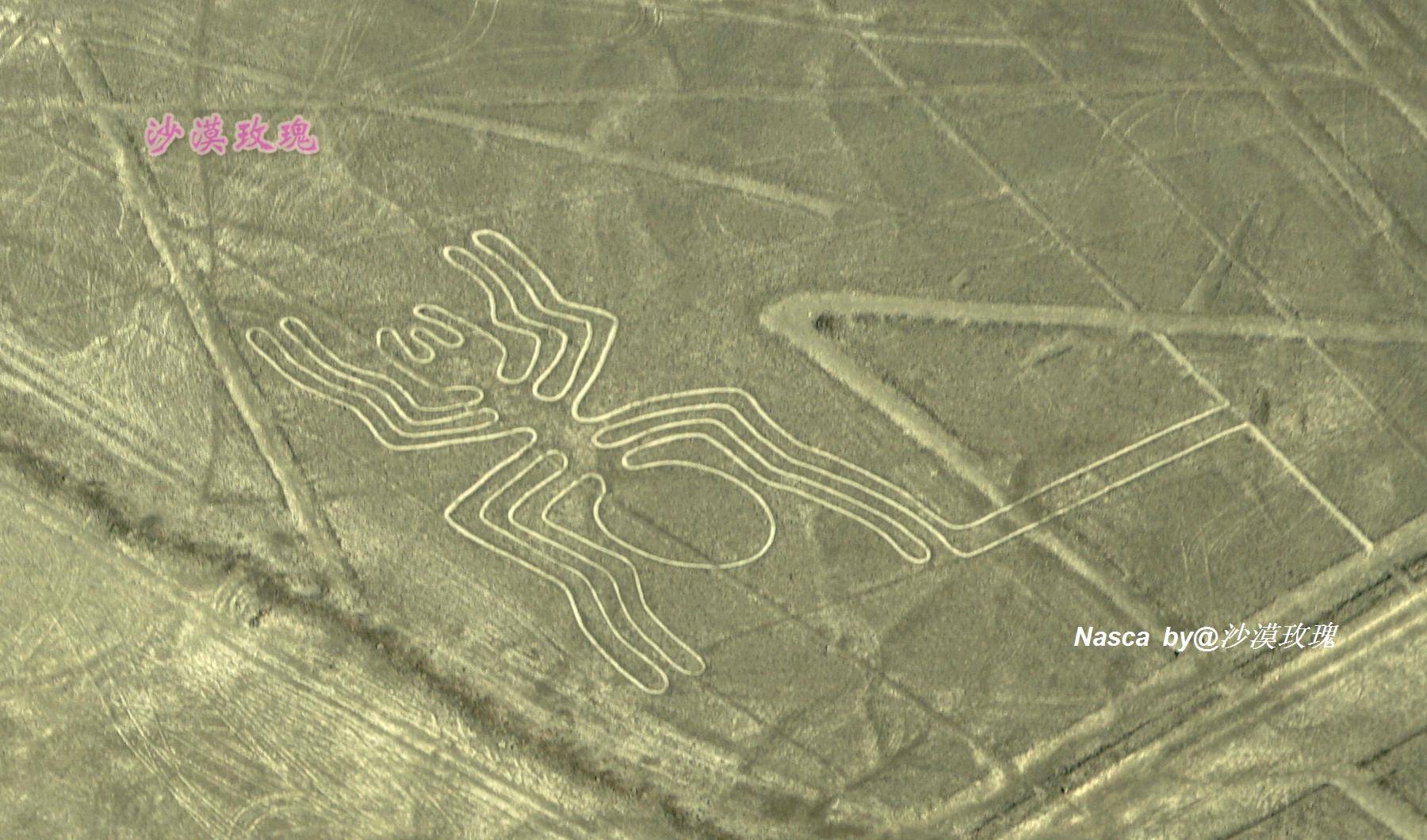 秘鲁发现长37米猫形地画,只能从空中欣赏的两千年前的奇迹