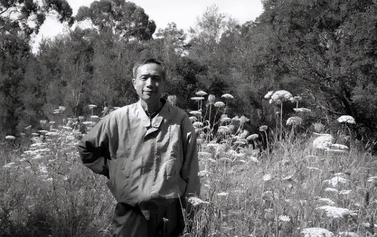 杨小凯 最接近诺贝尔奖的华人经济学家