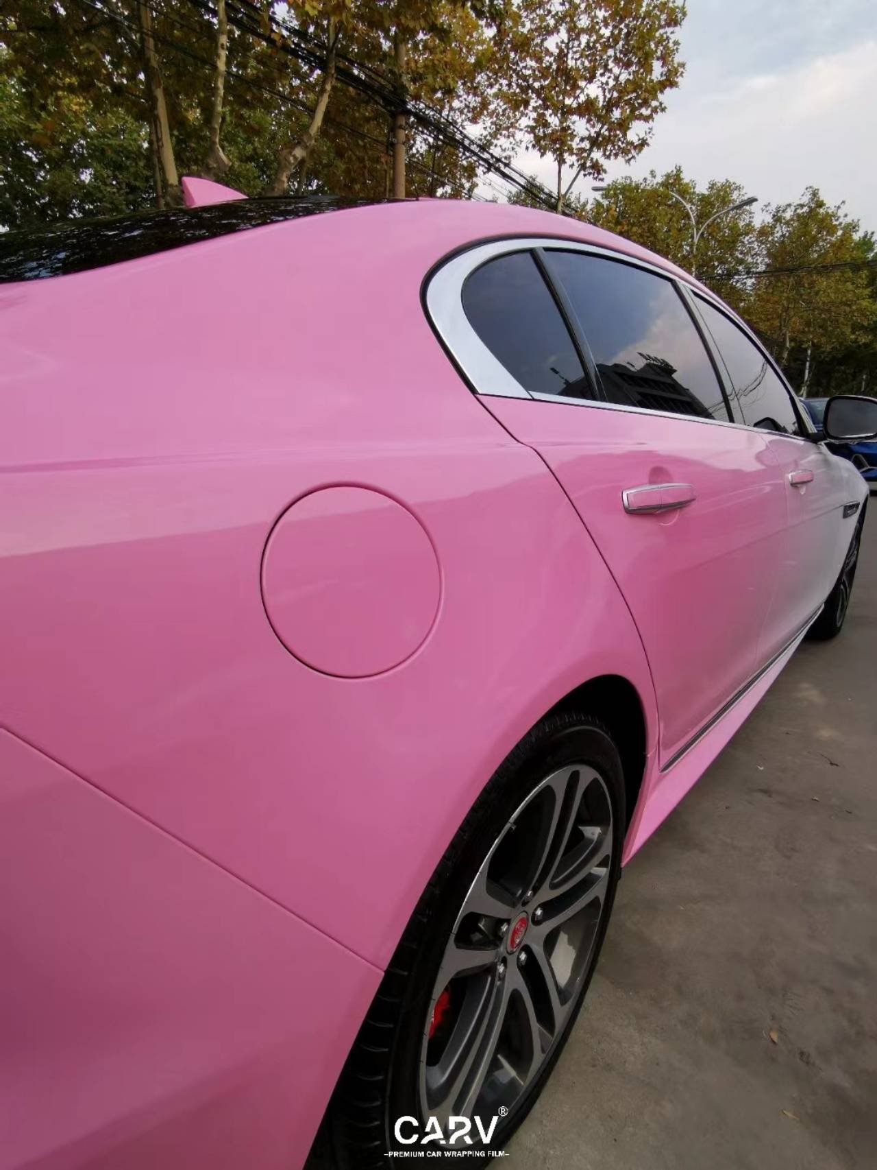 捷豹xel 定制白渐变粉彩绘-搜狐大视野-搜狐新闻