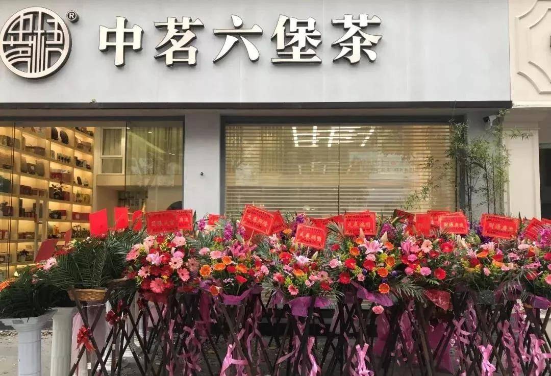 【茗边聚焦】梧州六堡茶系列报道之七中茗茶业有限公