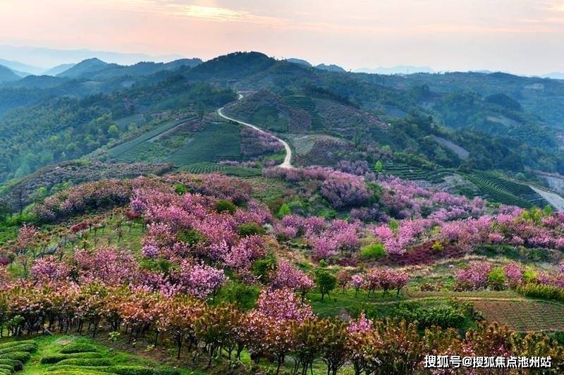 宁波余姚【中南菩悦春山听湖】售楼处电话是多少?售楼处位置及详情?