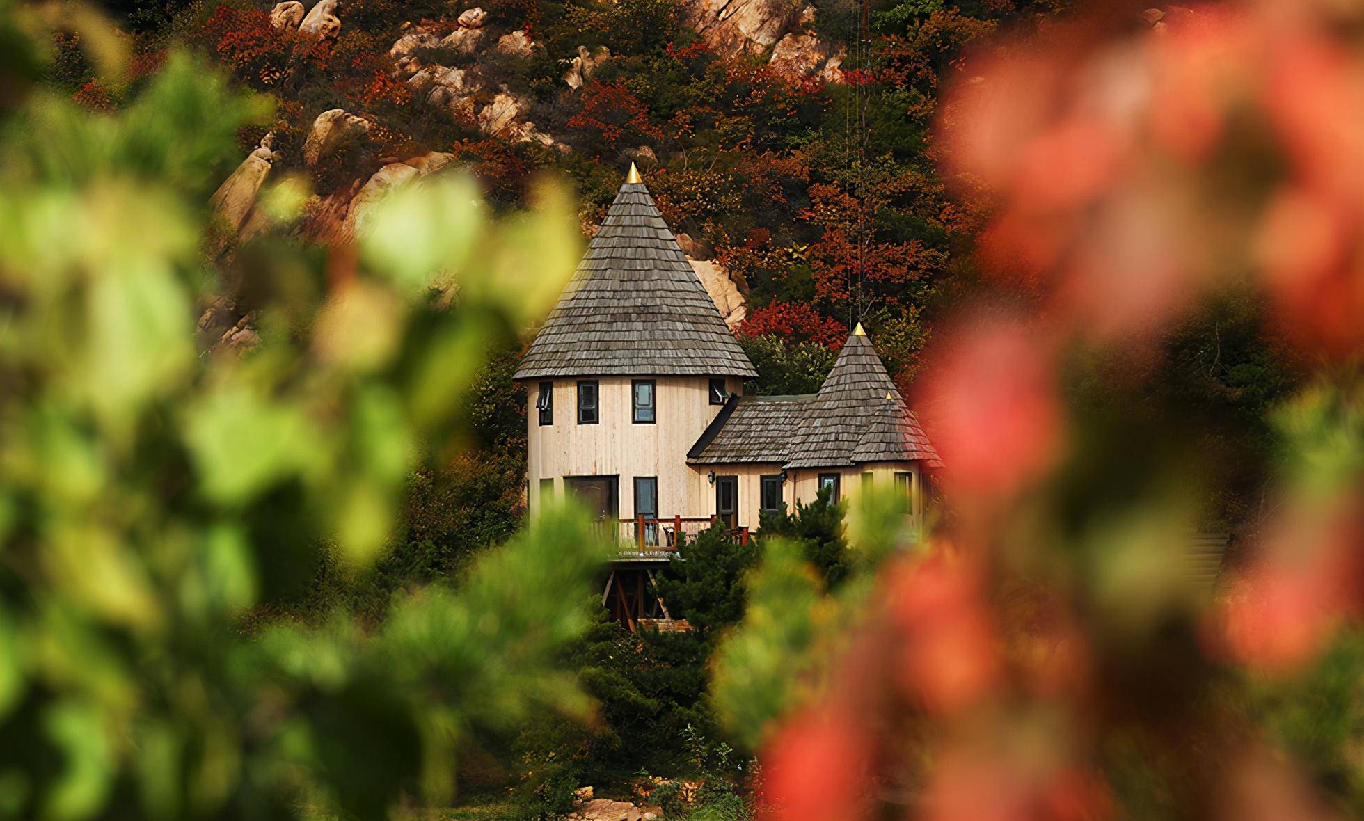 这个每年只开到11月的酒店,开窗就能触到红叶,闭眼就是童年
