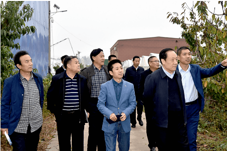 山东省报告文学学会举行走进鄄城采风活动