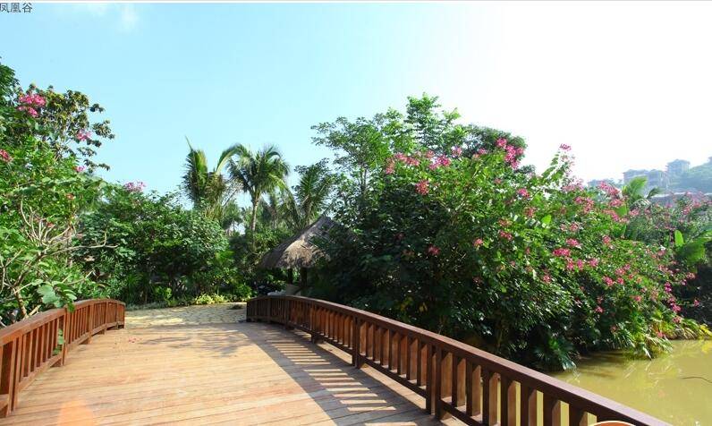 海南房产凤凰谷参考均价9000元㎡