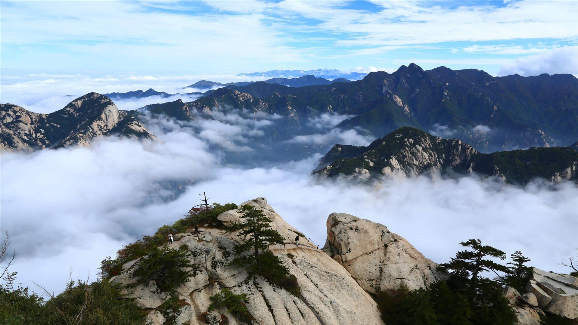 投资玩不起幻想,优秀者多为勤奋之人