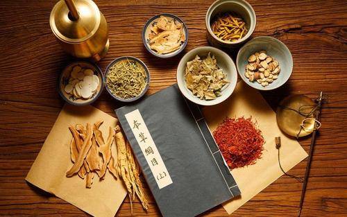 世界传统医药日|发展传统医药,促进人类健康_中华
