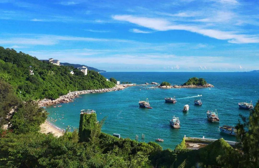 来自深圳的他们,为什么选择大亚湾?