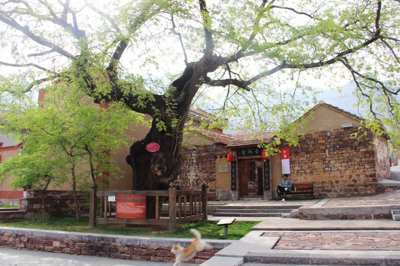 河南林州必去的古村:停车方便,景美好玩,很多人都错过了