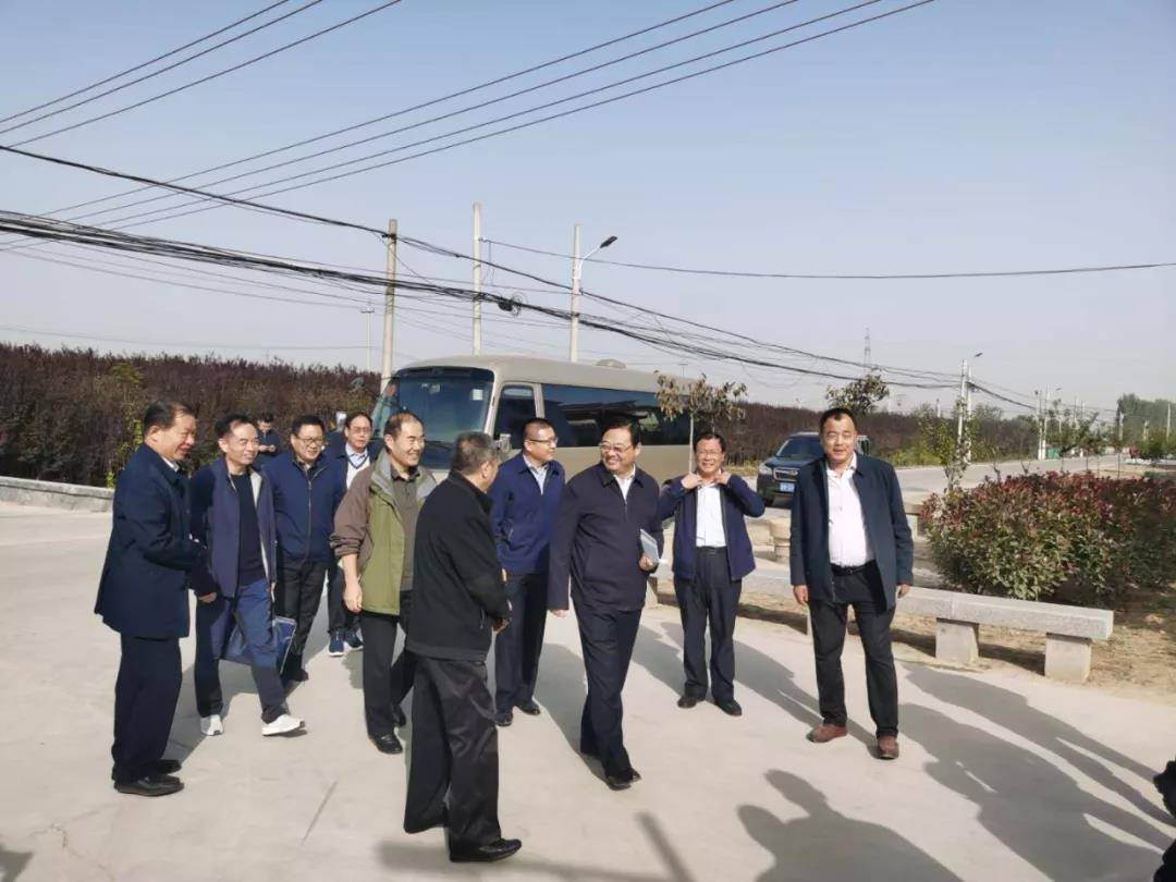 陈家爱一行莅临何楼街道看望加强基层党组织建设服务队