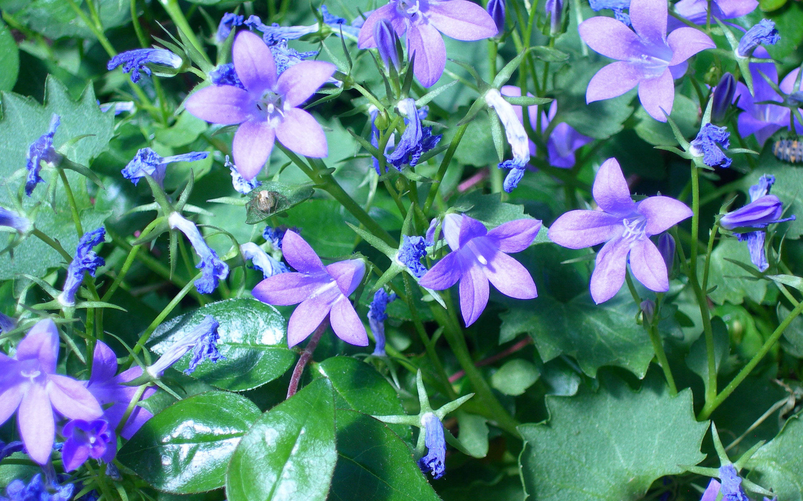 10月25日星座运势:双子大展拳脚,天蝎把握机会,射手认真负责