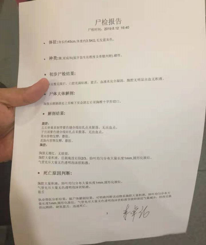 知秋动物医院绝育手术导致宠物死亡事件的评判网友称绝育手术死亡率