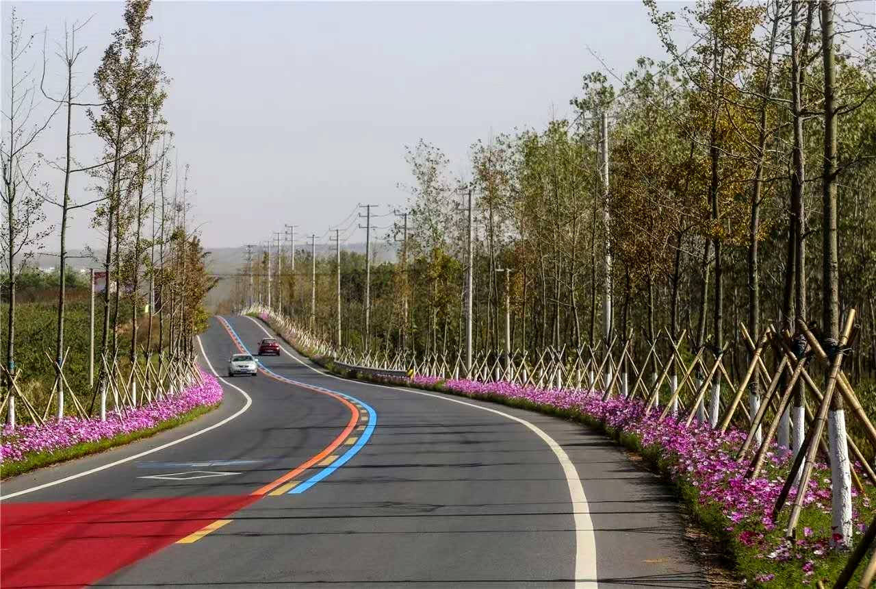 东海县"四好农村路"成"网红路"_手机搜狐网