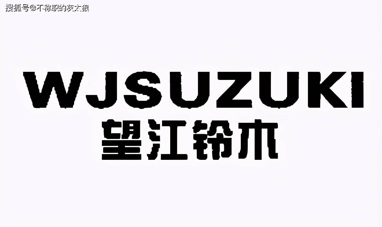 豪爵铃木,轻骑铃木,金城铃木,长春铃木,南益铃木,望江铃木