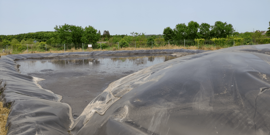 「创澳分享」畜禽粪污处理过程中产生的沼液有什么用途?_手机搜狐网